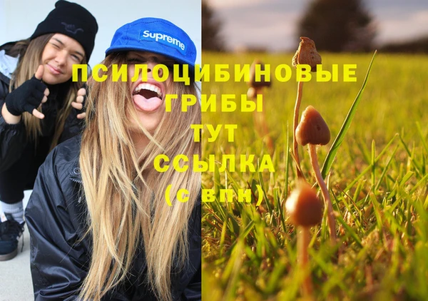 спайс Аркадак