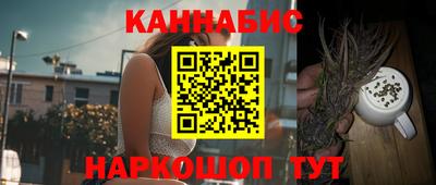 spice Бердск
