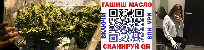 купить наркотик  сайты даркнета официальный сайт  ТГК концентрат  Курган 