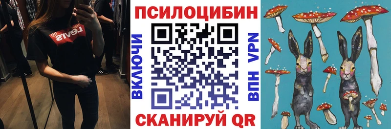 Галлюциногенные грибы GOLDEN TEACHER  дарнет шоп  Курган 